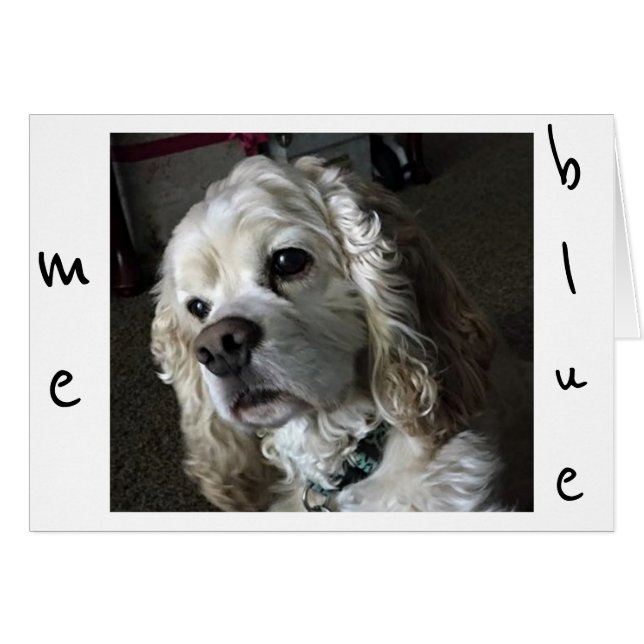 COCKER SPANIEL ÄR "BLUE" UTAN "DU" HÄLSNINGSKORT (Framsidan Horizontal)