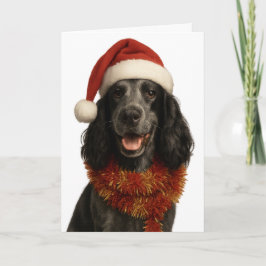 Cocker Spaniel Happy Christmas card Kort