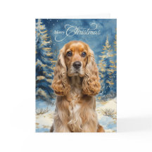 Cocker Spaniel Hund och blå vinter tallskog
