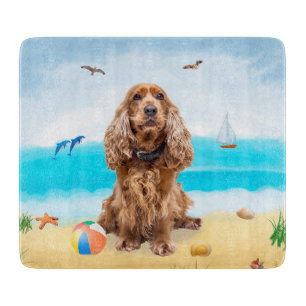 Cocker Spaniel Hund på Strand