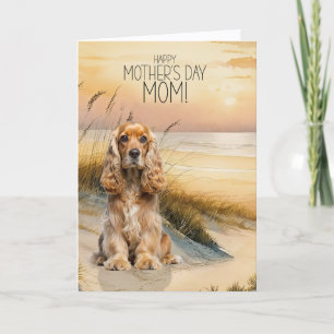 Cocker Spaniel Hund Solnedgång Strand Mors Dag Helgkort
