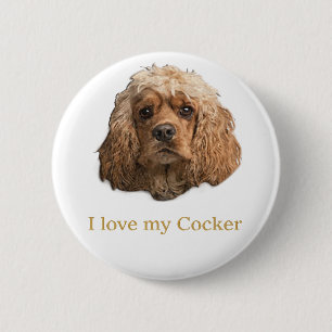 Cocker spaniel knapp