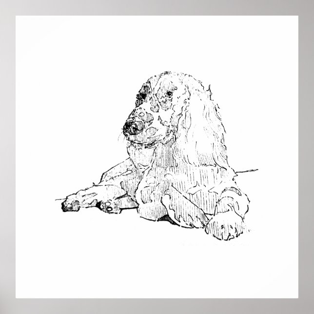 Cocker Spaniel Linjedragningskonst Hund  Poster (Framsidan)