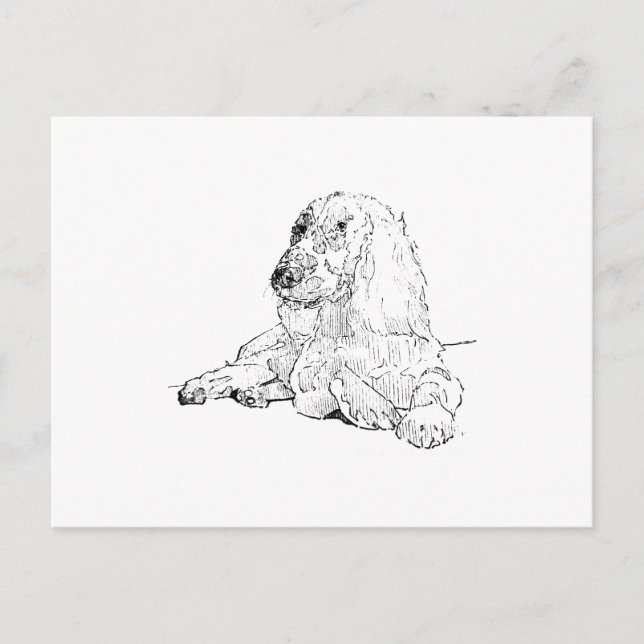 Cocker Spaniel Linjedragningskonst Hund  Vykort (Framsida)