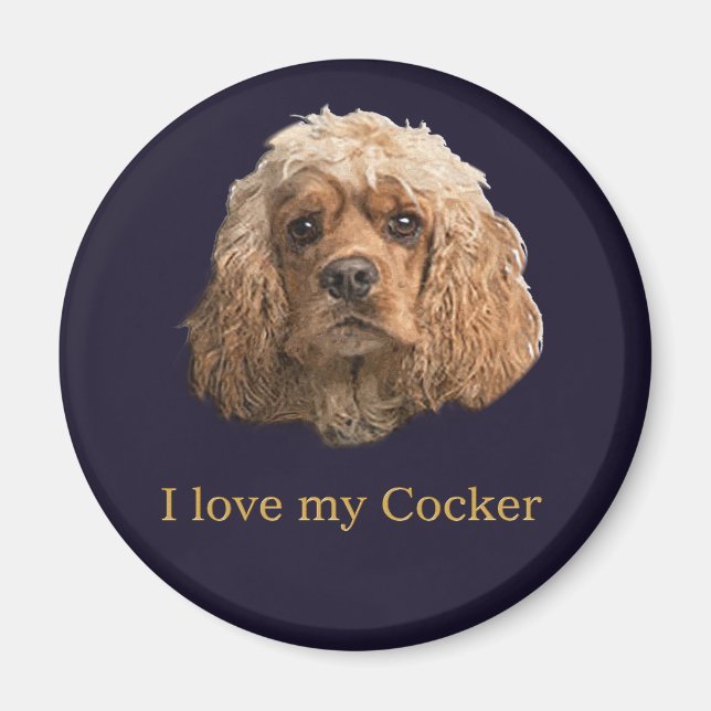 Cocker spaniel magnet (Framsidan)