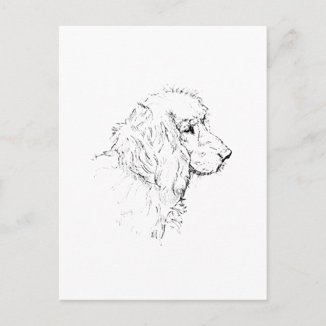 Cocker Spaniel – minimalistisk hund linjedragning Vykort (Framsida)
