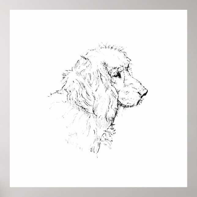 Cocker Spaniel – minimalistisk hund linjedrawing Poster (Framsidan)