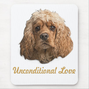 Cocker spaniel musmatta