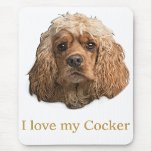 Cocker spaniel musmatta