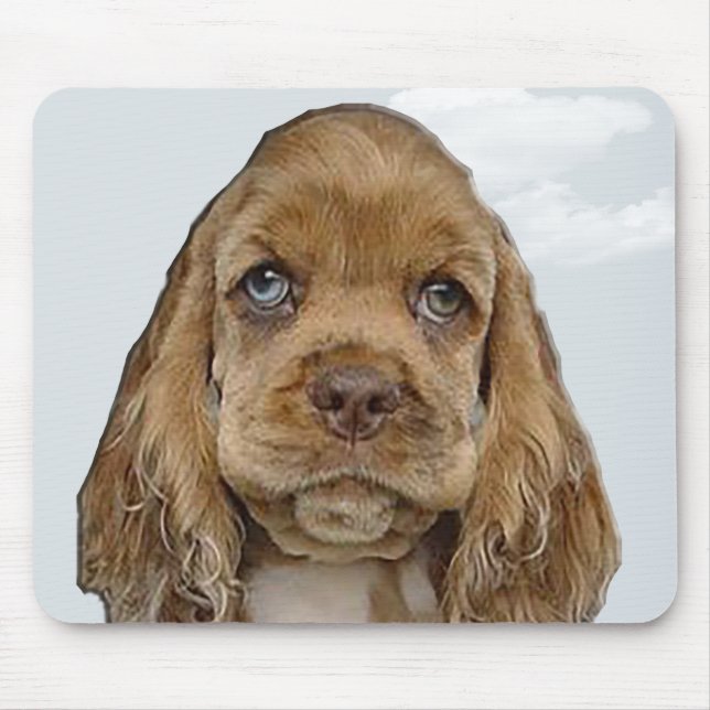 Cocker spaniel musmatta (Framsidan)
