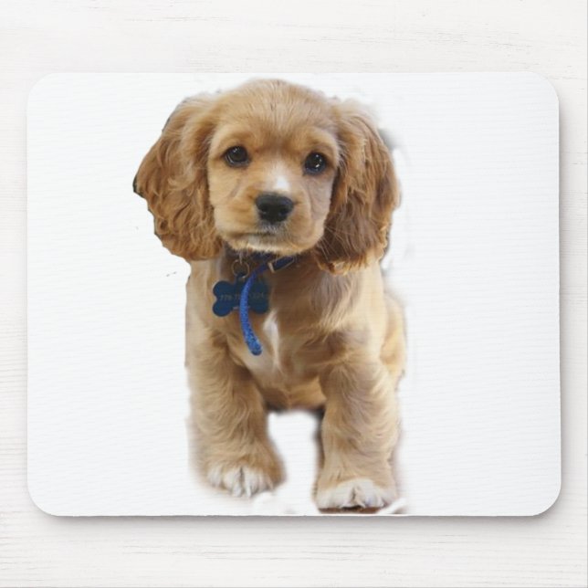 Cocker spaniel musmatta (Framsidan)