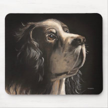 cocker spaniel musskydd