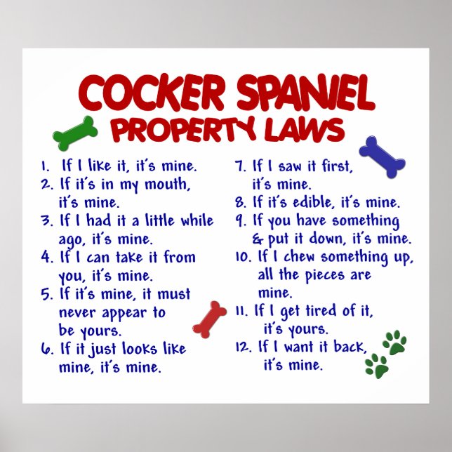 COCKER SPANIEL PL2 POSTER (Framsidan)