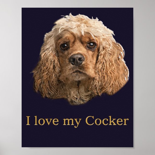 cocker spaniel poster (Framsidan)