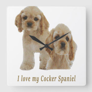 Cocker spaniel puppies klocka