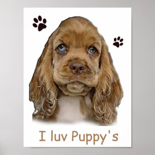 Cocker spaniel puppy poster