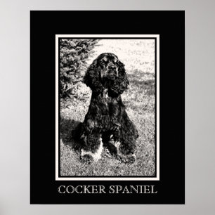 Cocker Spaniel Skiss Poster