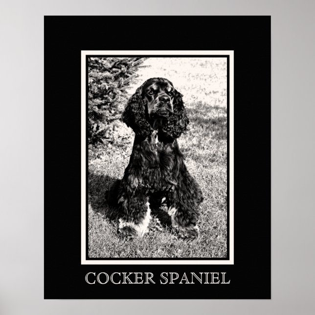 Cocker Spaniel Skiss Poster (Framsidan)