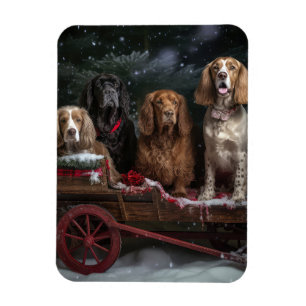 Cocker Spaniel Snöig släde juldekoration Magnet