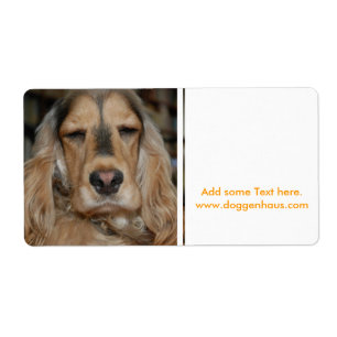 Cocker Spaniel Sushi Fraktsedel
