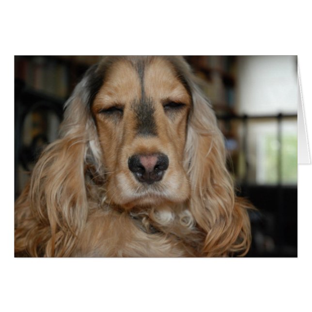 Cocker Spaniel Sushi Hälsningskort (Framsidan Horizontal)