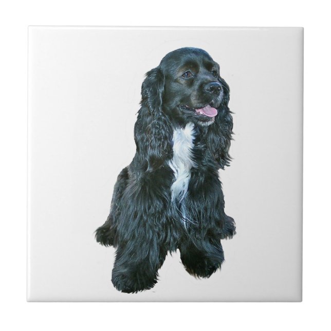 Cocker Spaniel - Svart #2 Kakelplatta (Framsidan)