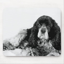 Cocker Spaniel Svart och Vit Musmatta