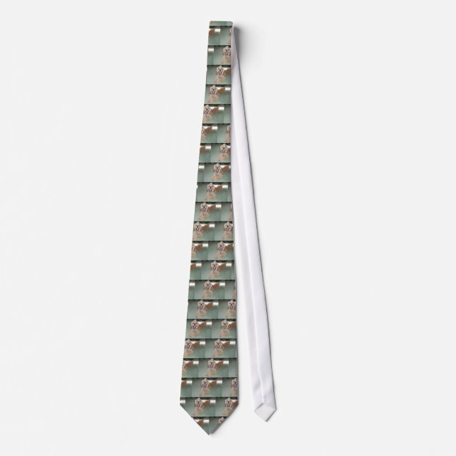 COCKER SPANIEL TIE SLIPS (Framsida)