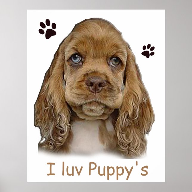 Cocker spaniel valp affisch (Framsidan)