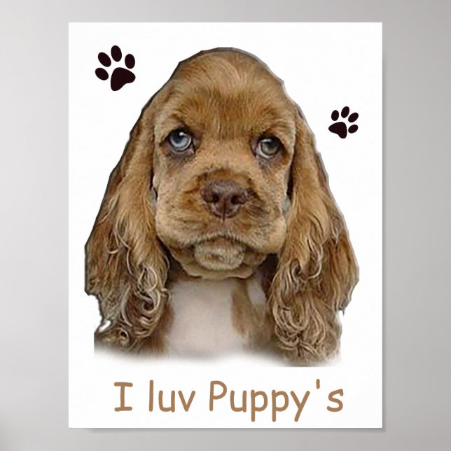 Cocker spaniel valp affisch (Framsidan)