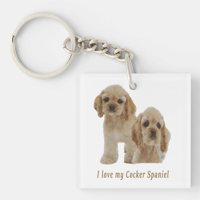 cocker spaniels (Framsidan)