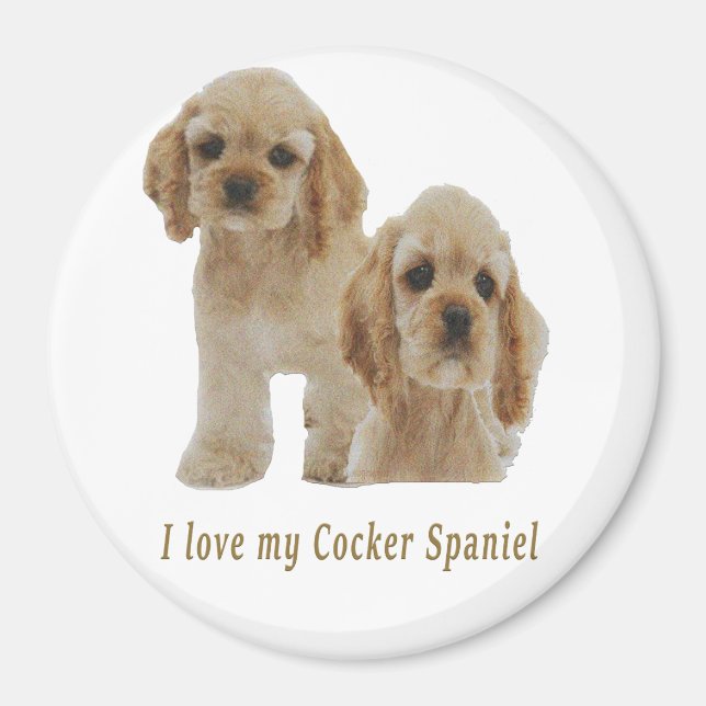 cocker spaniels magnet (Framsidan)