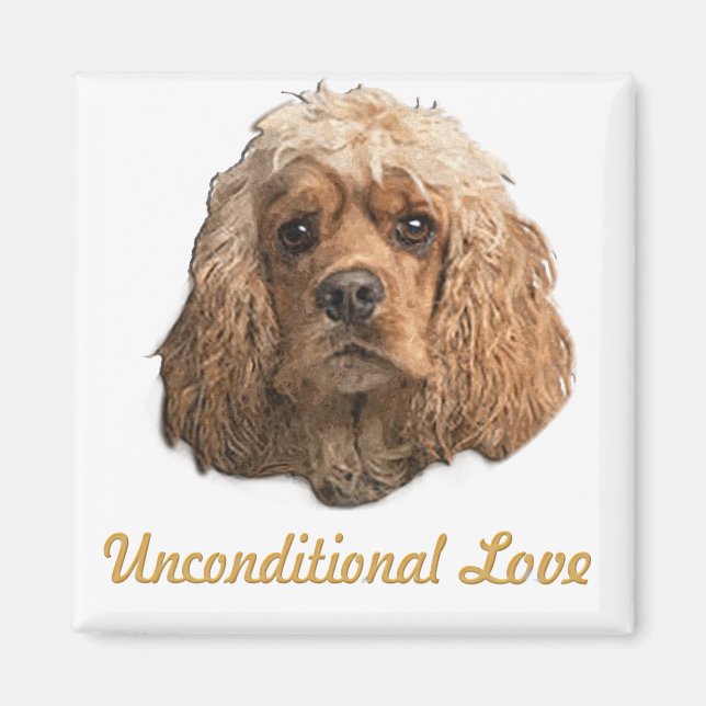 cocker spaniels magnet (Framsidan)