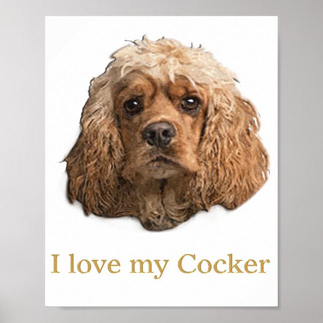 Cocker Spaniels Poster (Framsidan)