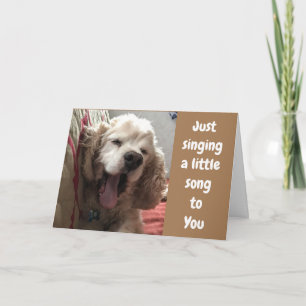 COCKER SPANILE SINGER GRATTIS PÅ FÖDELSEDAGEN TILL KORT