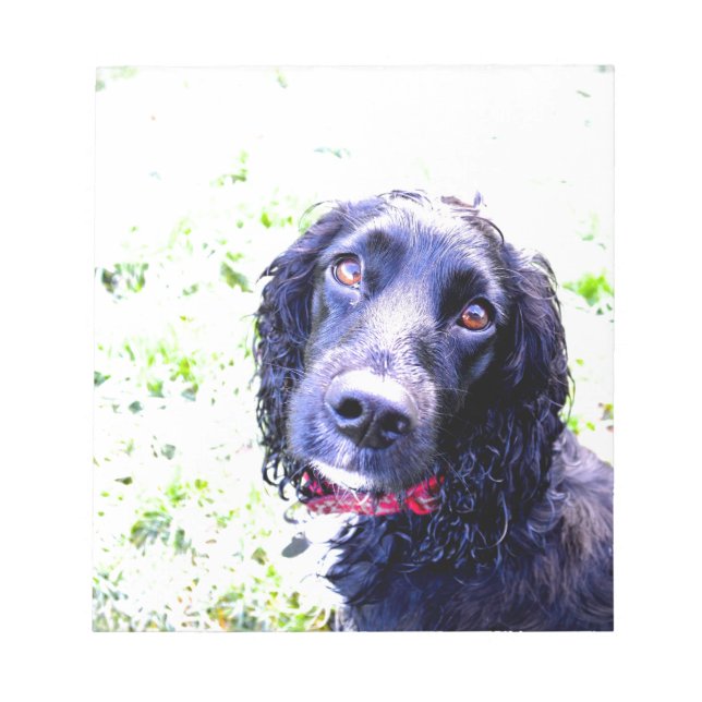 Cocker Spansk Anteckningsblock (Framsida)