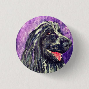Cocker Spansk Blue Roan Hund Paweed Knapp