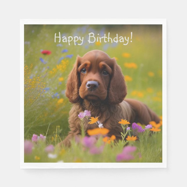 Cocker Spansk Pappersservett (Framsidan)