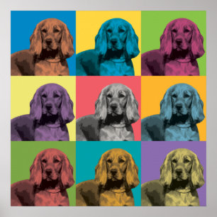 Cocker Spansk pop-Art Poster