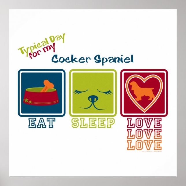 Cocker Spansk Poster (Framsidan)