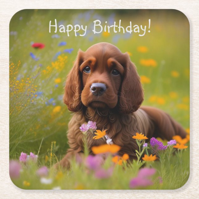 Cocker Spansk Underlägg Papper Kvadrat (Framsidan)