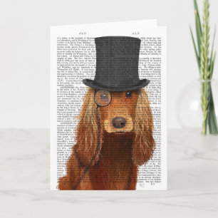 Cocker Spanska, Formellt hound och Hat Kort