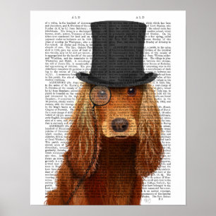 Cocker Spanska, Formellt hound och Hat Poster