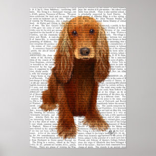 Cocker Spanska slätten Poster
