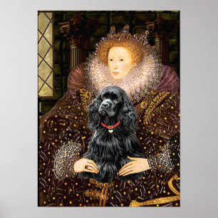 Cocker (svart) - Queen Poster