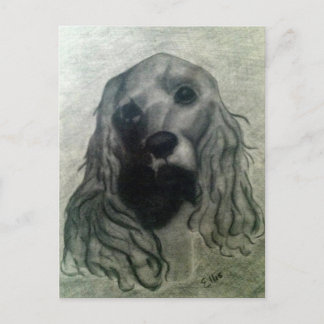 Cocker Teckning, Claire Vykort