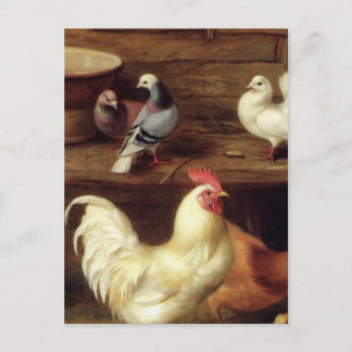 Cockerel Hen och Chickar med Pigeons Boskap Vykort