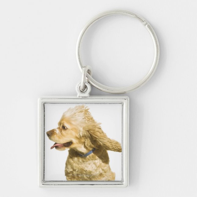 CockerspanielSpaniel Fyrkantig Silverfärgad Nyckelring (Framsidan)