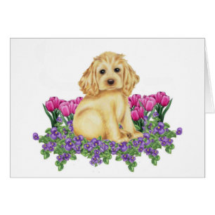 CockerspanielSpaniel Hälsningskort
