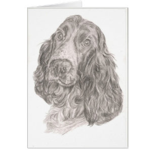 CockerspanielSpaniel Hälsningskort